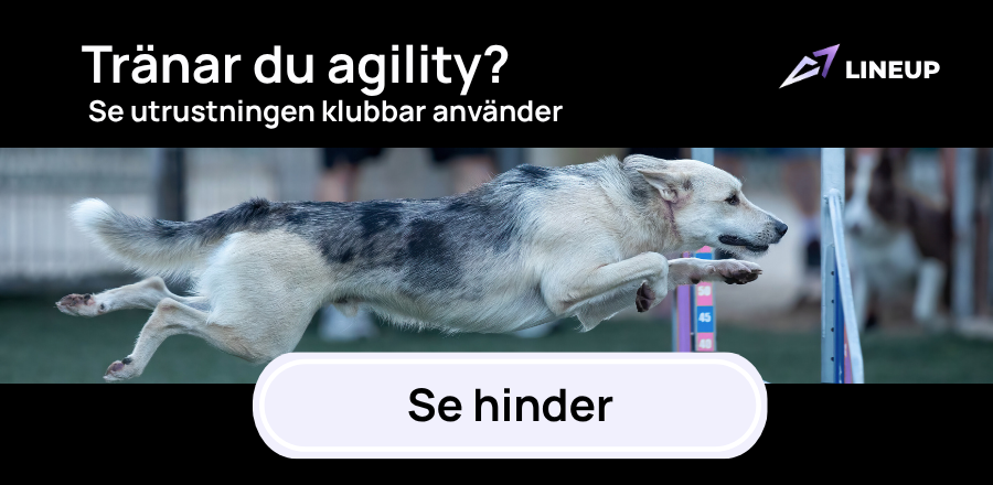 Hundkurskollen – Hitta hundkurser i Sverige